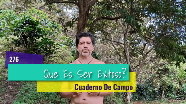 La Paz de No Cumplir las Expectativas de Nadie