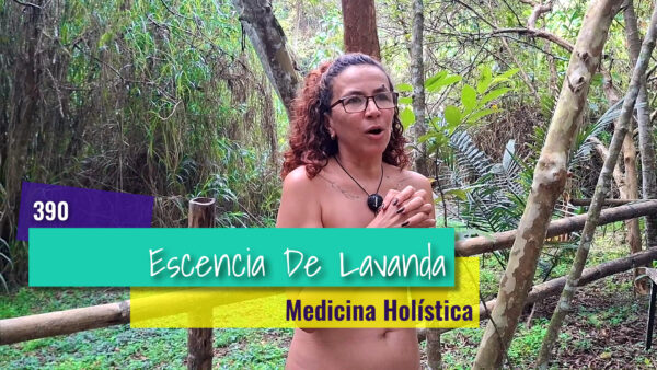 Medicina Holística: Aromaterapia y Aceites Esenciales para Armonizar tu Vida