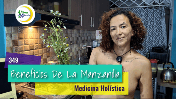 Manzanilla (Camomila), La Planta Imprescindible en el Hogar